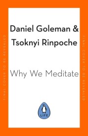 WHY WE MEDITATE - 7 SIMPLE PRACTICES FOR A CALMER MIND