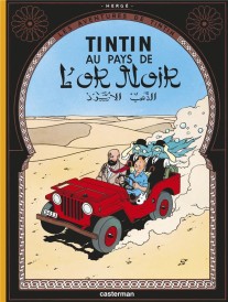 Les aventures de Tintin Tome 15 : au pays de l'or noir