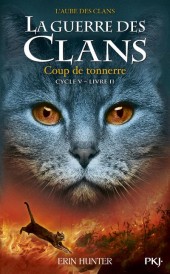 La guerre des clans - cycle 5 ; l'aube des clans t.2 : coup de tonnerre