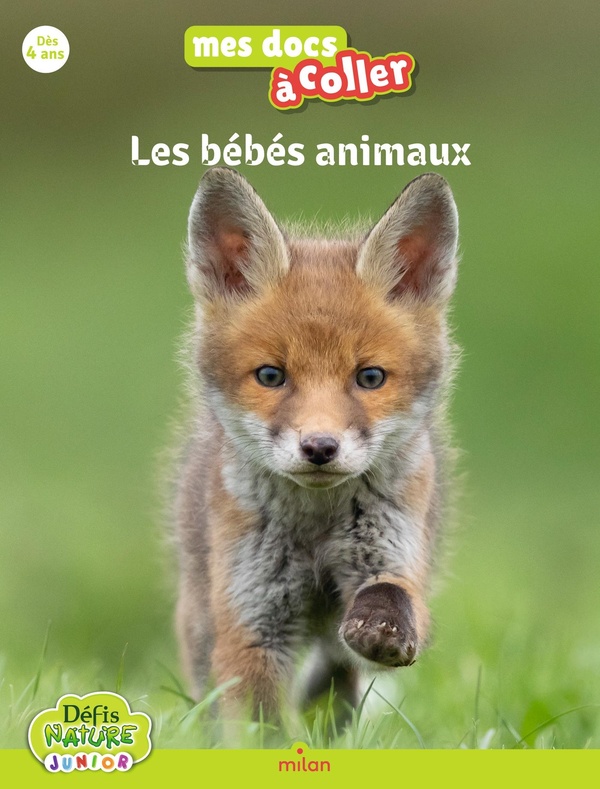 Les bébés animaux
