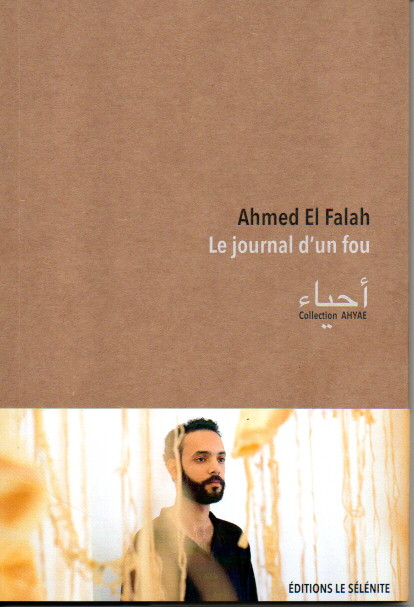 LE JOURNAL D'UN FOU