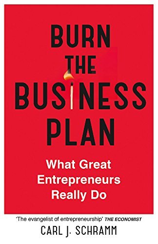 BURN THE BUSINESS PLAN - WHAT GREAT ENTREPRENEURS REALLY DO